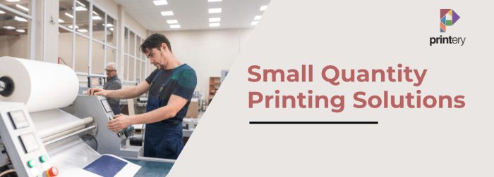 Print and Mail Solutions