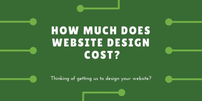 Website cost should much design